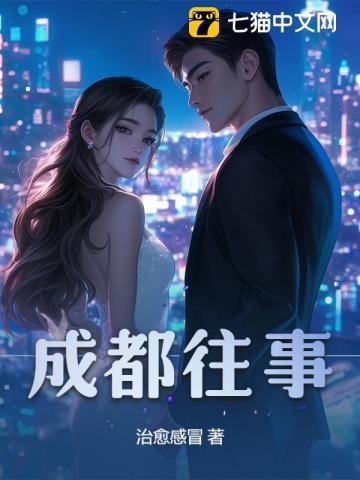 电视剧成都往事