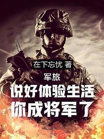 你成将军了麦小飞王聪