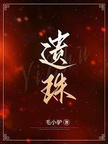 遗珠免费阅读