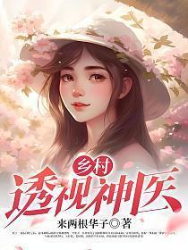 乡村透视神医全本
