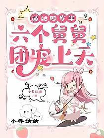 六个舅舅团宠上天 小乔姑姑