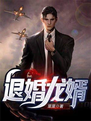 退婚龙婿江辰免费阅读