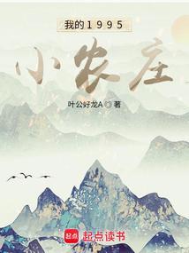 我的1996小农庄