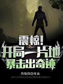 暴击出奇迹TXT