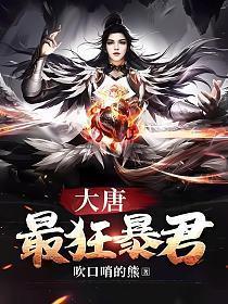大唐最狂暴君杨辰完整版免费