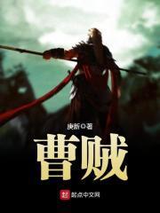 曹贼是谁
