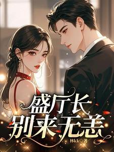 盛厅长别来无恙结局