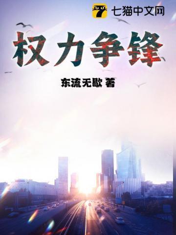 权力争锋李飞