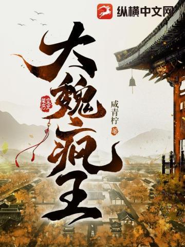 大魏疯王女主推倒顺序