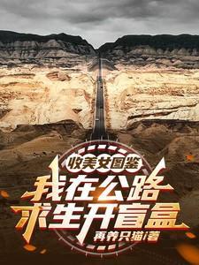 收美女图鉴我在公路求生开盲盒