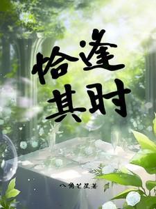 夏芝徐一野全集阅读