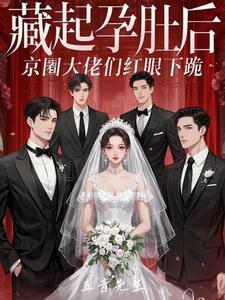 藏起孕肚后京圈大佬们红眼下跪初夏
