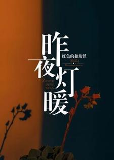 萧从南傅烬如昨夜灯暖