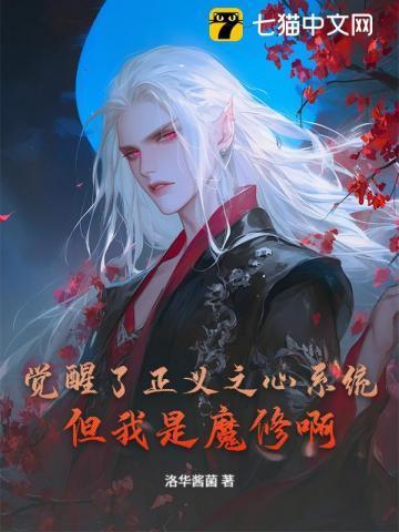 正义之心书籍