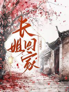 长姐回家苏婉青免费观看