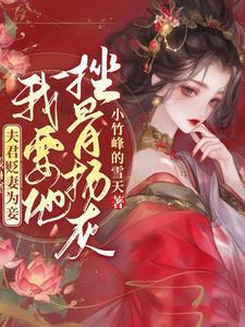 夫君妾室无数