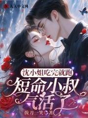沈小姐是什么电视剧