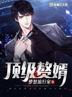 顶级赘婿在线观看免费完整版