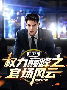 重生权力巅峰之官场风云txt