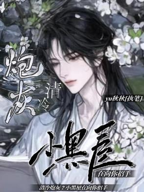 清冷炮灰小黑屋在向你招手