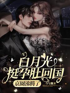 京圈沸腾了短剧全集