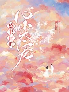 盛书记的心尖宠讲的什么