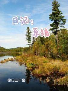 日记系统类影综