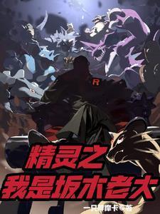 精灵之我是坂木老大笔趣阁