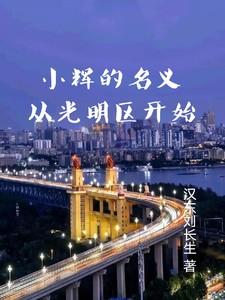 小辉的名义从光明区开始笔趣阁