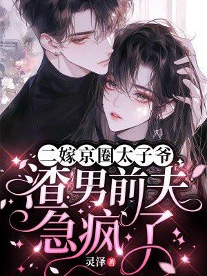 二嫁太子妃全文免费
