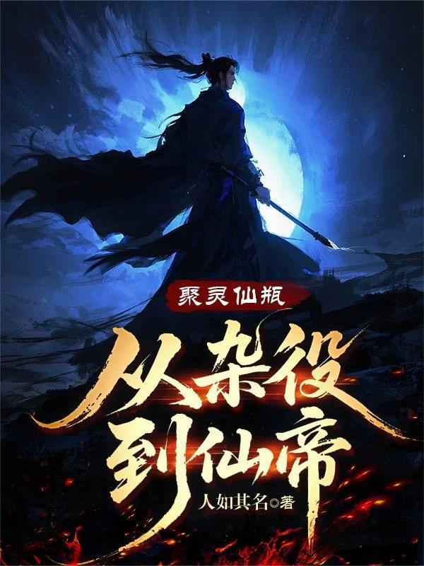 聚灵仙瓶从杂役到仙帝的十二个境界奏宁