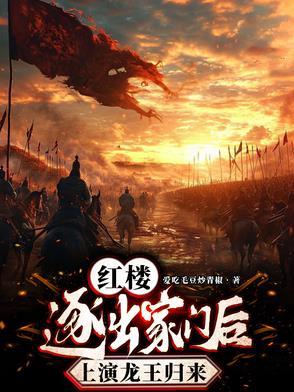 贾府的敌人是谁