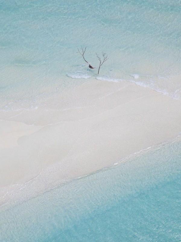 重生给前任他叔冲喜