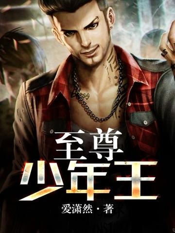 至尊少年王有声