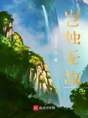 岂独……乎