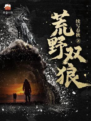 荒野双狼苍云婷的结局