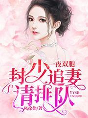 一胎双宝封少追妻请排队