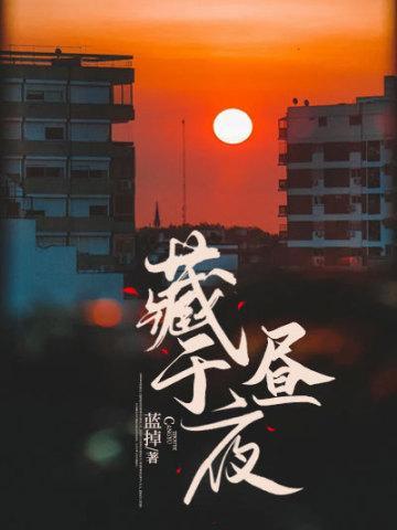 藏于昼夜讲的什么