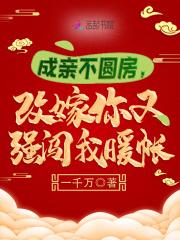 改嫁你又强闯我暖帐 txt