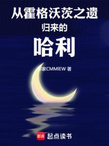 从霍格沃茨之遗归来的哈利八一