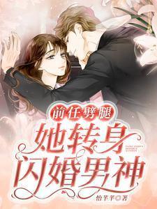前任闪婚闪孕