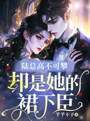 陆总什么电视剧