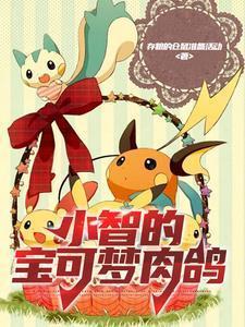 宝可梦小智cp