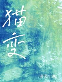 没wifi