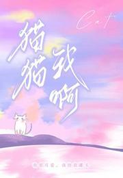 猫猫我啊by阿阮有酒的简介