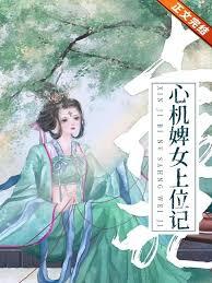 婢女上位记结局那么惨