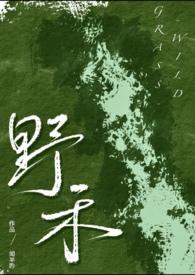 伪兄妹吧